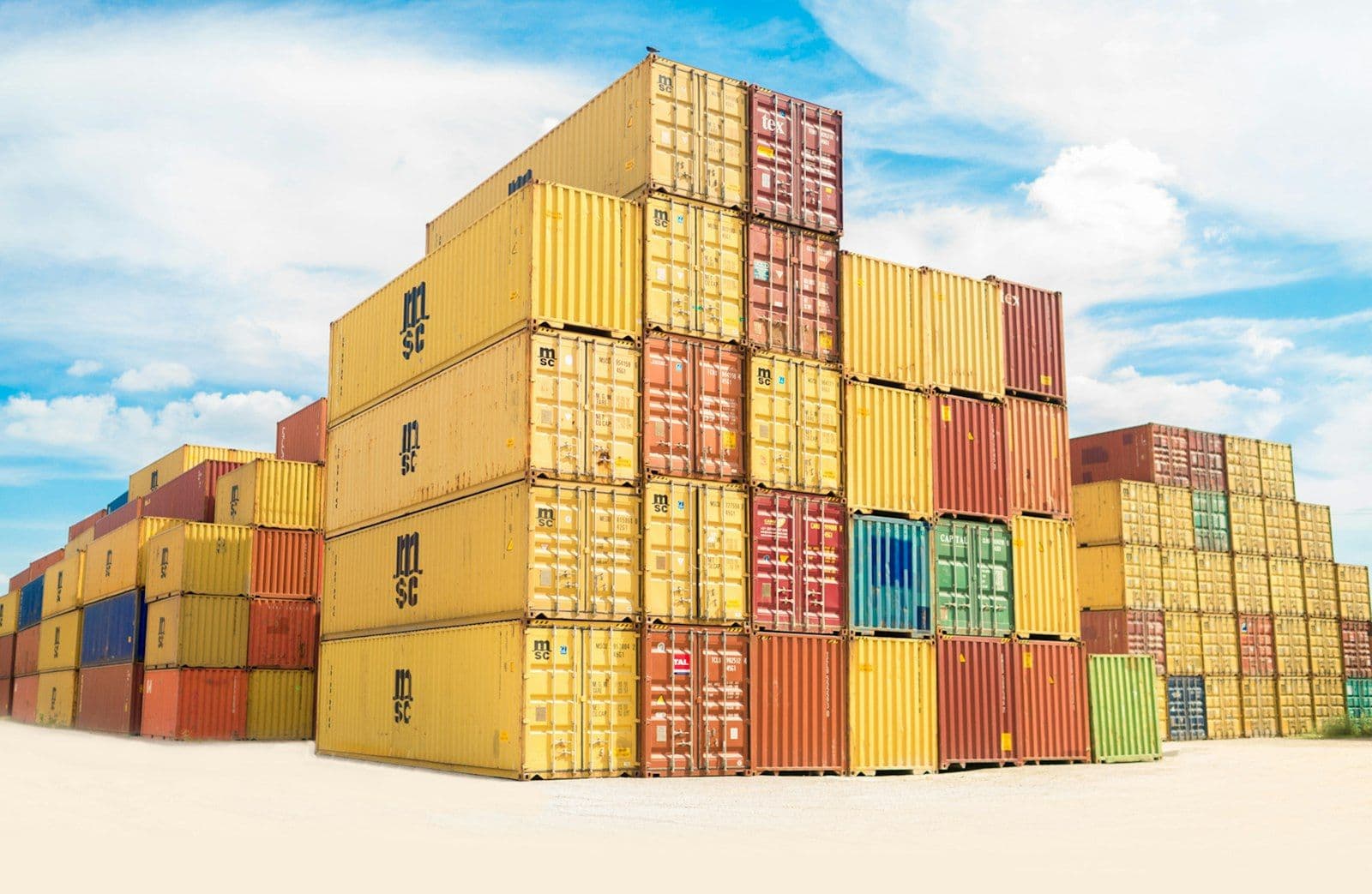 Bando CCIAA Connessi 2026 — export digitale | Rea Soluzioni